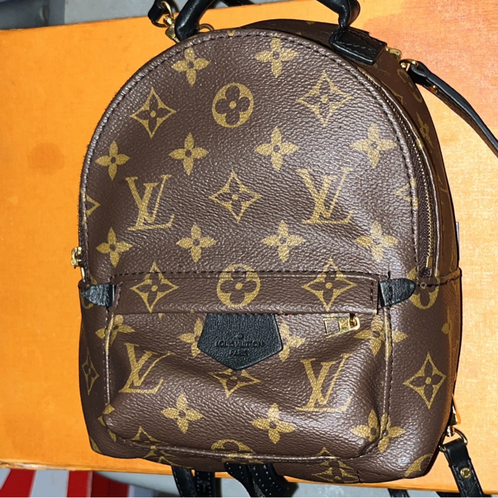 Louis Vuitton mini book bag